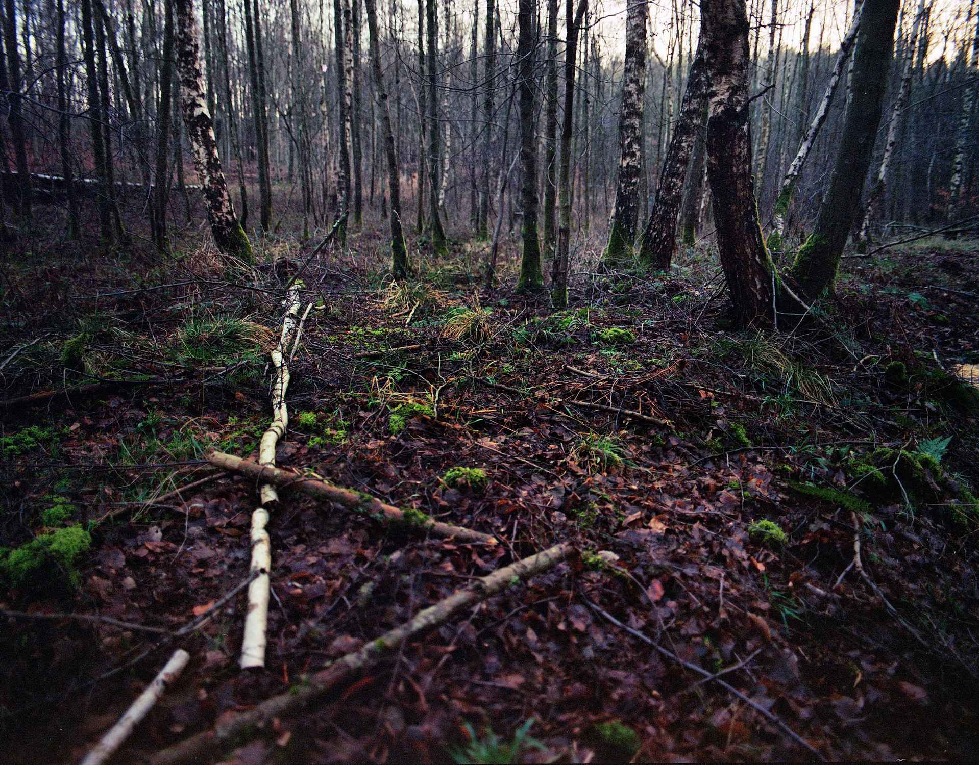 2018 01 18 Pentax 6x7  02